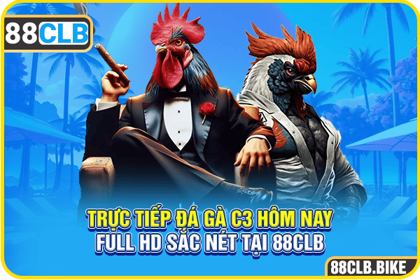 Trực Tiếp Đá Gà C3 Hôm Nay FULL HD Sắc Nét Tại 88CLB