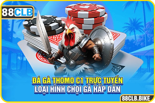 Đá Gà Thomo C1 Trực Tuyến - Loại Hình Chọi Gà Hấp Dẫn