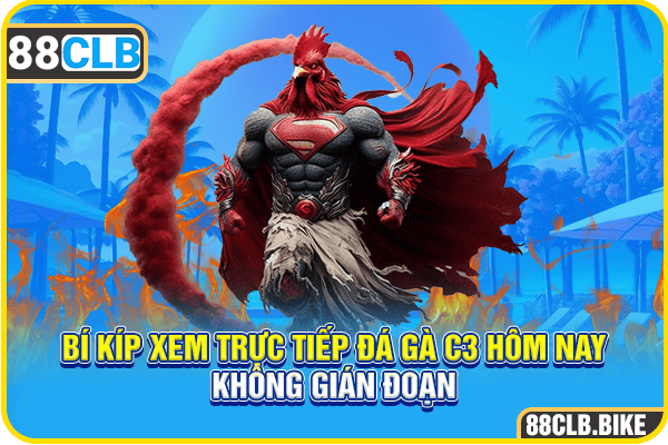 Bí kíp xem trực tiếp đá gà C3 hôm nay không gián đoạn