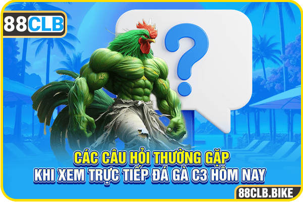 Các câu hỏi thường gặp khi xem trực tiếp đá gà C3 hôm nay 