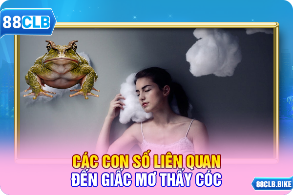 Các con số liên quan đến giấc mơ thấy cóc