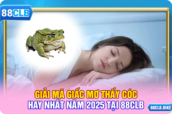 Giải Mã Giấc Mơ Thấy Cóc Hay Nhất Năm 2025 tại 88CLB