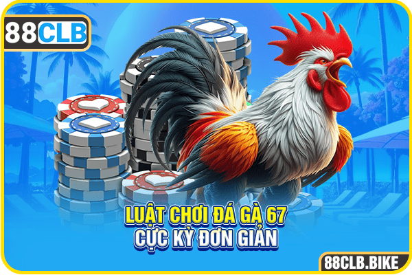 Luật chơi đá gà 67 cực kỳ đơn giản