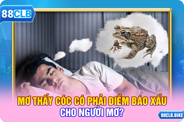 Mơ thấy cóc có phải điềm báo xấu cho người mơ?