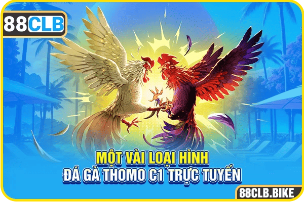 Một vài loại hình đá gà Thomo C1 trực tuyến