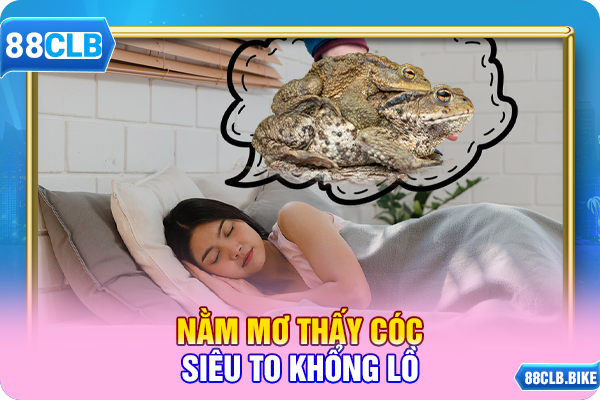 Nằm mơ thấy cóc siêu to khổng lồ