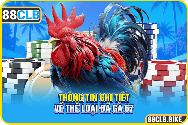 Thông tin chi tiết về thể loại đá gà 67